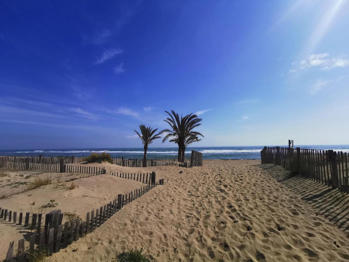 Soleil Levant 2 - En Bord De Mer - Superbe Appartement Cosy - Acces Direct Plage - Proche Commerces Et Animations Le Barcarès Eksteriør bilde